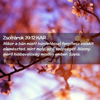Picture 02 - Zsoltárok 39:12 KAR - Mikor a bûn miatt büntetéssel fenyítesz - Bible Verse Picture
