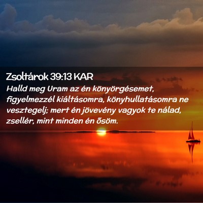 Picture 02 - Zsoltárok 39:13 KAR - Halld meg Uram az én könyörgésemet, - Bible Verse Picture