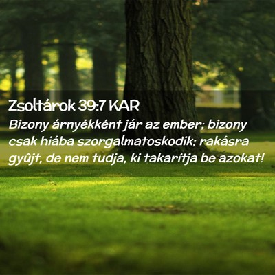 Picture 02 - Zsoltárok 39:7 KAR - Bizony árnyékként jár az ember; bizony csak - Bible Verse Picture