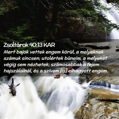 Picture 02 - Zsoltárok 40:13 KAR - Mert bajok vettek engem körül, a melyeknek - Bible Verse Picture