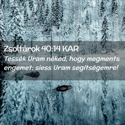 Picture 02 - Zsoltárok 40:14 KAR - Tessék Uram néked, hogy megments engemet; siess - Bible Verse Picture