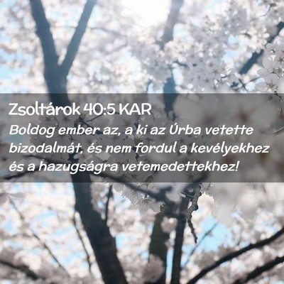 Picture 02 - Zsoltárok 40:5 KAR - Boldog ember az, a ki az Úrba vetette - Bible Verse Picture
