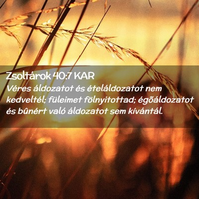 Picture 02 - Zsoltárok 40:7 KAR - Véres áldozatot és ételáldozatot nem - Bible Verse Picture