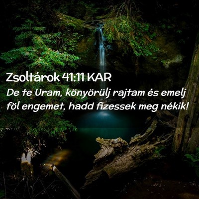 Picture 02 - Zsoltárok 41:11 KAR - De te Uram, könyörülj rajtam és emelj föl - Bible Verse Picture