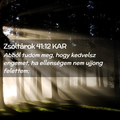 Picture 02 - Zsoltárok 41:12 KAR - Abból tudom meg, hogy kedvelsz engemet, ha - Bible Verse Picture