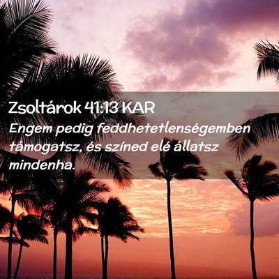 Picture 02 - Zsoltárok 41:13 KAR - Engem pedig feddhetetlenségemben támogatsz, és - Bible Verse Picture