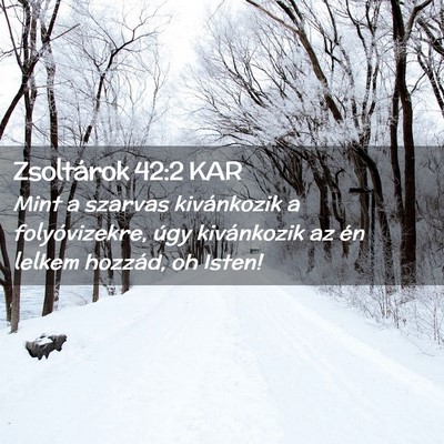 Picture 02 - Zsoltárok 42:2 KAR - Mint a szarvas kivánkozik a folyóvizekre, úgy - Bible Verse Picture