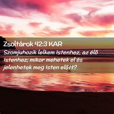 Picture 02 - Zsoltárok 42:3 KAR - Szomjuhozik lelkem Istenhez, az élõ Istenhez; - Bible Verse Picture