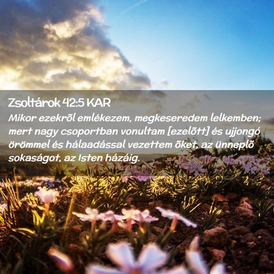Picture 02 - Zsoltárok 42:5 KAR - Mikor ezekrõl emlékezem, megkeseredem - Bible Verse Picture