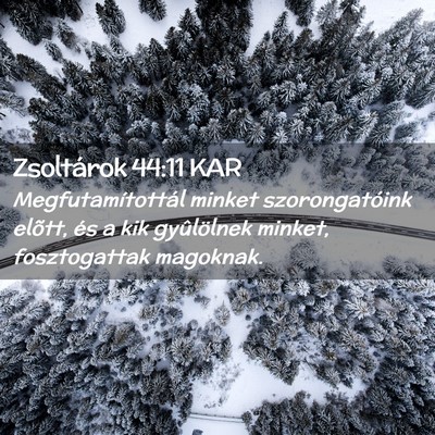 Picture 02 - Zsoltárok 44:11 KAR - Megfutamítottál minket szorongatóink elõtt, - Bible Verse Picture