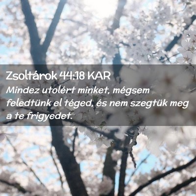 Picture 02 - Zsoltárok 44:18 KAR - Mindez utolért minket, mégsem feledtünk el - Bible Verse Picture
