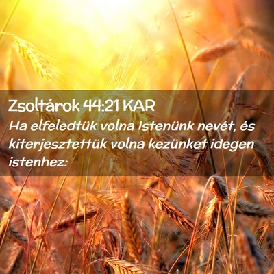 Picture 02 - Zsoltárok 44:21 KAR - Ha elfeledtük volna Istenünk nevét, és - Bible Verse Picture