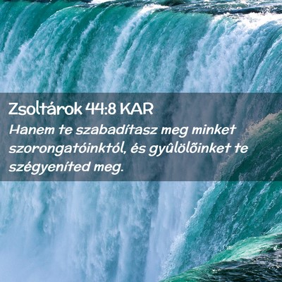 Picture 02 - Zsoltárok 44:8 KAR - Hanem te szabadítasz meg minket - Bible Verse Picture