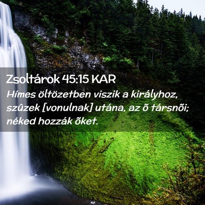 Picture 02 - Zsoltárok 45:15 KAR - Hímes öltözetben viszik a királyhoz, szûzek - Bible Verse Picture
