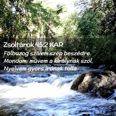Picture 02 - Zsoltárok 45:2 KAR - Fölbuzog szívem szép beszédre. Mondom: mûvem - Bible Verse Picture