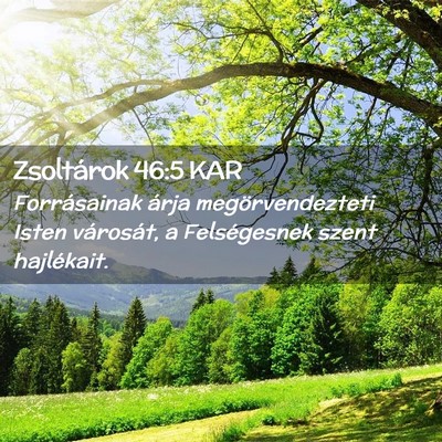 Picture 02 - Zsoltárok 46:5 KAR - Forrásainak árja megörvendezteti Isten - Bible Verse Picture