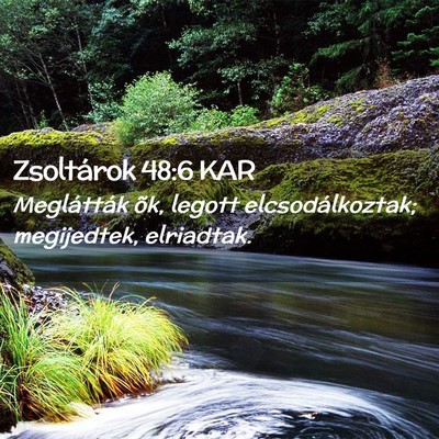 Picture 02 - Zsoltárok 48:6 KAR - Meglátták õk, legott elcsodálkoztak; - Bible Verse Picture