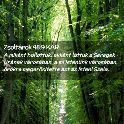 Picture 02 - Zsoltárok 48:9 KAR - A miként hallottuk, akként láttuk a Seregek - Bible Verse Picture