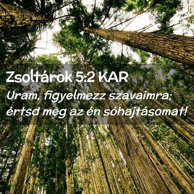 Picture 02 - Zsoltárok 5:2 KAR - Uram, figyelmezz szavaimra; értsd meg az én - Bible Verse Picture