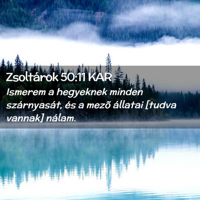 Picture 02 - Zsoltárok 50:11 KAR - Ismerem a hegyeknek minden szárnyasát, és a - Bible Verse Picture