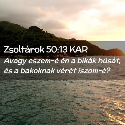 Picture 02 - Zsoltárok 50:13 KAR - Avagy eszem-é én a bikák húsát, és a - Bible Verse Picture