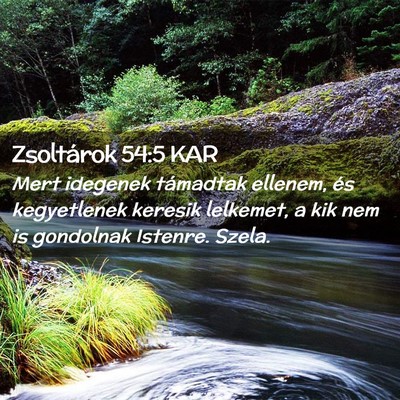 Picture 02 - Zsoltárok 54:5 KAR - Mert idegenek támadtak ellenem, és kegyetlenek - Bible Verse Picture