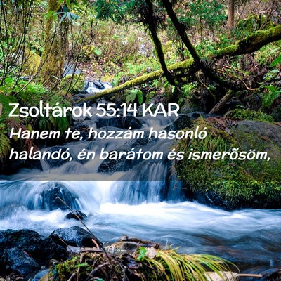 Picture 02 - Zsoltárok 55:14 KAR - Hanem te, hozzám hasonló halandó, én barátom - Bible Verse Picture