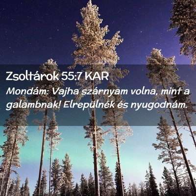 Picture 02 - Zsoltárok 55:7 KAR - Mondám: Vajha szárnyam volna, mint a galambnak! - Bible Verse Picture