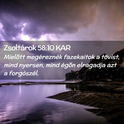 Picture 02 - Zsoltárok 58:10 KAR - Mielõtt megéreznék fazekaitok a tövist, mind - Bible Verse Picture