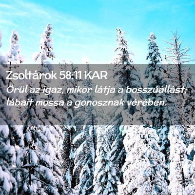 Picture 02 - Zsoltárok 58:11 KAR - Örül az igaz, mikor látja a bosszúállást; - Bible Verse Picture