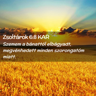 Picture 02 - Zsoltárok 6:8 KAR - Szemem a bánattól elbágyadt, megvénhedett - Bible Verse Picture