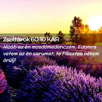 Picture 02 - Zsoltárok 60:10 KAR - Moáb az én mosdómedenczém, Edomra vetem az - Bible Verse Picture