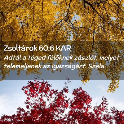 Picture 02 - Zsoltárok 60:6 KAR - Adtál a téged félõknek zászlót, melyet - Bible Verse Picture