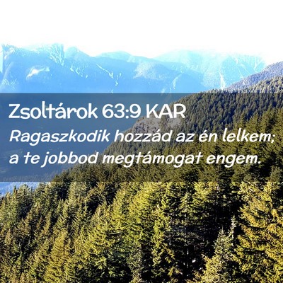 Picture 02 - Zsoltárok 63:9 KAR - Ragaszkodik hozzád az én lelkem; a te jobbod - Bible Verse Picture