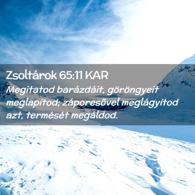 Picture 02 - Zsoltárok 65:11 KAR - Megitatod barázdáit, göröngyeit meglapítod; - Bible Verse Picture