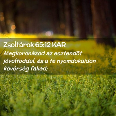 Picture 02 - Zsoltárok 65:12 KAR - Megkoronázod az esztendõt jóvoltoddal, és a - Bible Verse Picture