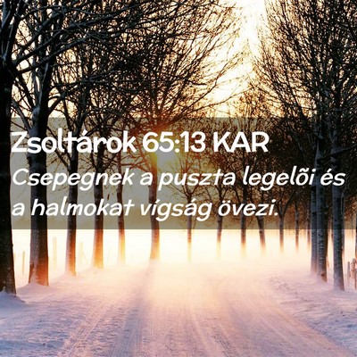 Picture 02 - Zsoltárok 65:13 KAR - Csepegnek a puszta legelõi és a halmokat - Bible Verse Picture