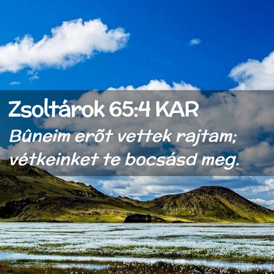 Picture 02 - Zsoltárok 65:4 KAR - Bûneim erõt vettek rajtam; vétkeinket te - Bible Verse Picture