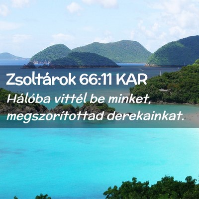 Picture 02 - Zsoltárok 66:11 KAR - Hálóba vittél be minket, megszorítottad - Bible Verse Picture
