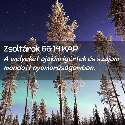Picture 02 - Zsoltárok 66:14 KAR - A melyeket ajakim igértek és szájam mondott - Bible Verse Picture