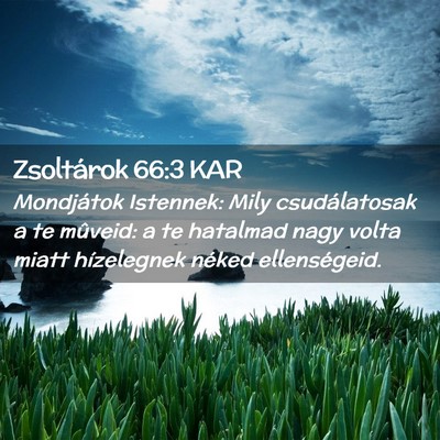 Picture 02 - Zsoltárok 66:3 KAR - Mondjátok Istennek: Mily csudálatosak a te - Bible Verse Picture