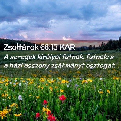 Picture 02 - Zsoltárok 68:13 KAR - A seregek királyai futnak, futnak: s a házi - Bible Verse Picture