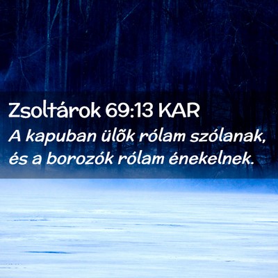 Picture 02 - Zsoltárok 69:13 KAR - A kapuban ülõk rólam szólanak, és a borozók - Bible Verse Picture