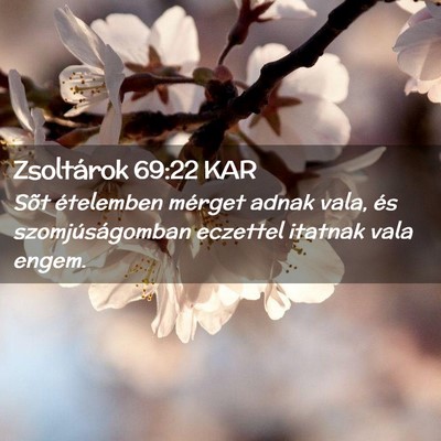 Picture 02 - Zsoltárok 69:22 KAR - Sõt ételemben mérget adnak vala, és - Bible Verse Picture