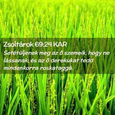 Picture 02 - Zsoltárok 69:24 KAR - Setétüljenek meg az õ szemeik, hogy ne - Bible Verse Picture