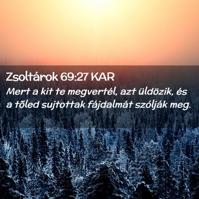 Picture 02 - Zsoltárok 69:27 KAR - Mert a kit te megvertél, azt üldözik, és a - Bible Verse Picture