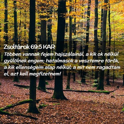 Picture 02 - Zsoltárok 69:5 KAR - Többen vannak fejem hajszálainál, a kik ok - Bible Verse Picture