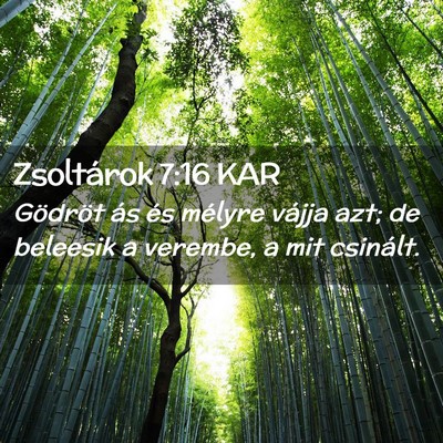 Picture 02 - Zsoltárok 7:16 KAR - Gödröt ás és mélyre vájja azt; de beleesik - Bible Verse Picture