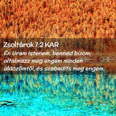 Picture 02 - Zsoltárok 7:2 KAR - Én Uram Istenem, benned bízom; oltalmazz meg - Bible Verse Picture