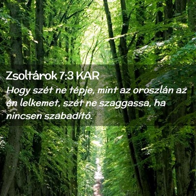 Picture 02 - Zsoltárok 7:3 KAR - Hogy szét ne tépje, mint az oroszlán az én - Bible Verse Picture